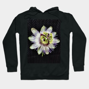 passion flower intricate shape and design on a black background Hoodie